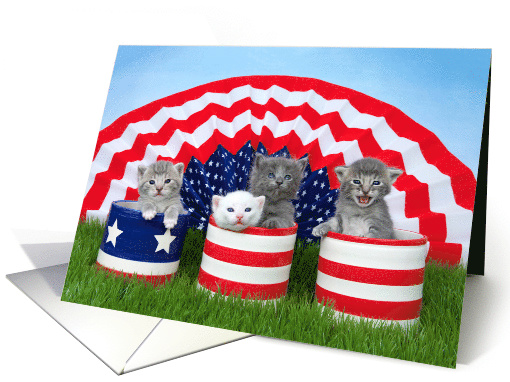 Four tiny kittens Happy 4th of July card (1527560)