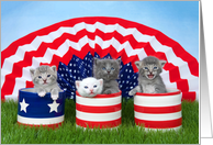 Four tiny kittens Happy 4th of July card