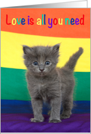 Kitten Happy Gay Pride Month card