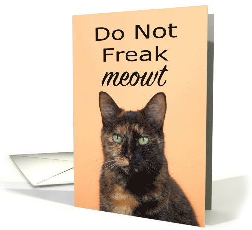 Do Not Freak Meowt Halloween Tortoiseshell Cat card (1541148)