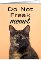 Do Not Freak Meowt Halloween Tortoiseshell Cat card