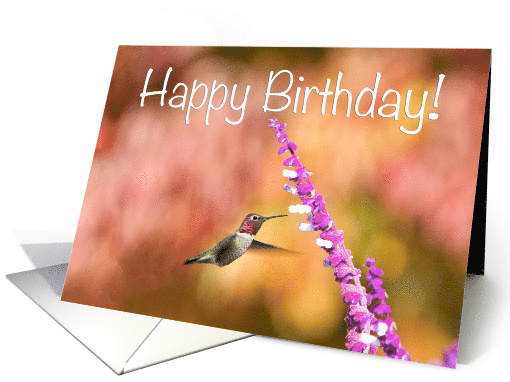 Hummingbird Happy Birthday card (1548654)