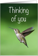 Thinking of you card