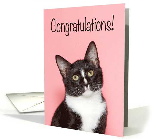 Congratulations New Cat card (1549386)