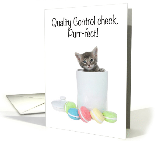 Humorous kitten in a cookie jar birthday card (1549406)