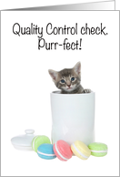 Humorous kitten in a cookie jar birthday card