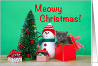 Grey kitten popping out of a box meowy Christmas card