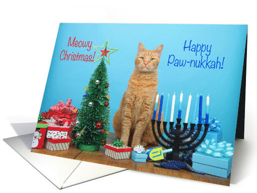 Orange cat punny Christmas Hannukkah card (1550276)