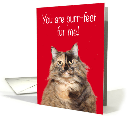 Punny Love You Tortie Cat card (1550582)