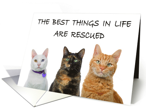 Trio of cats congratulations rescue adoption card (1563768)