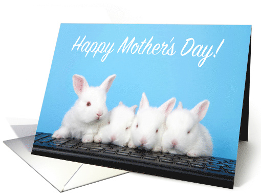 Computer baby bunnies Happy Mother's Day card (1564690)