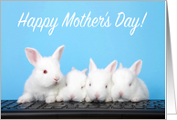 Computer baby bunnies Happy Mother’s Day card