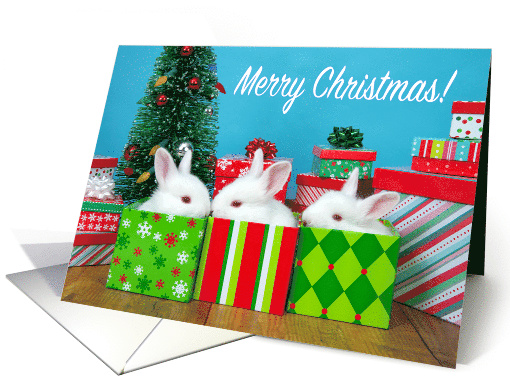 Baby Bunnies Merry Christmas card (1564874)