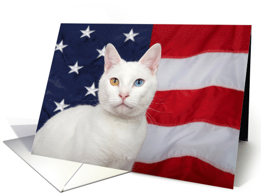 Regal Patriotic Cat Happy 4th of July card (1565572)
