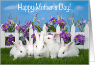 Bunny Family Happy Mother’s Day for Mom card