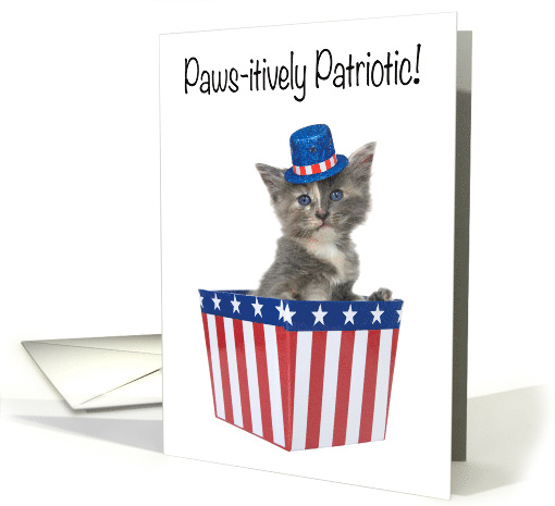 Paws-itivly Patriotic 4th of July kitten card (1570050)