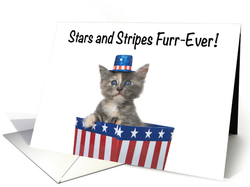 Stars and Stripes Patriotic 4th of July kitten card (1570052)
