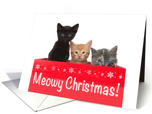 Meowy Christmas Trio of Kittens card (1570054)