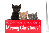 Meowy Christmas Trio of Kittens card