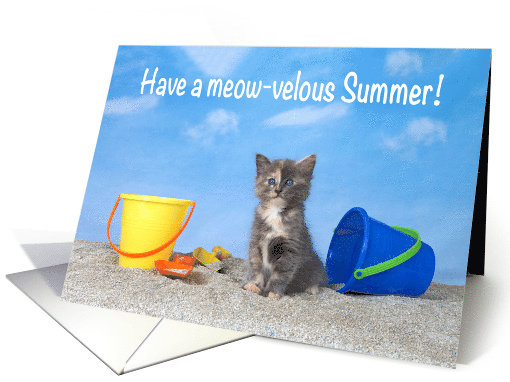 Beach kitten happy summer vacation card (1570096)