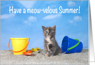 Beach kitten happy summer vacation card