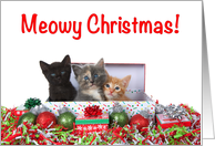 Trio of Kittens Christmas Presents card