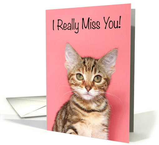 Sad Kitten Missing You card (1570710)