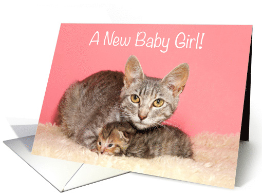 Mom cat with baby Congratulations New Baby Girl card (1572104)