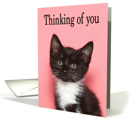 Tiny Tuxedo Kitten Thinking of You card (1580308)