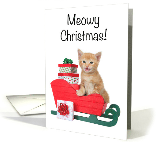 Kitten in Santa's Sleigh Merry Christmas card (1580330)