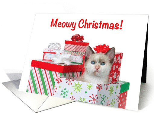 Meowy Christmas Siamese kitten in pile of presents card (1580990)