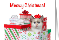 Meowy Christmas Siamese kitten in pile of presents card
