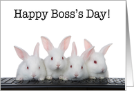 Happy Boss’s Day from team of bunnies card