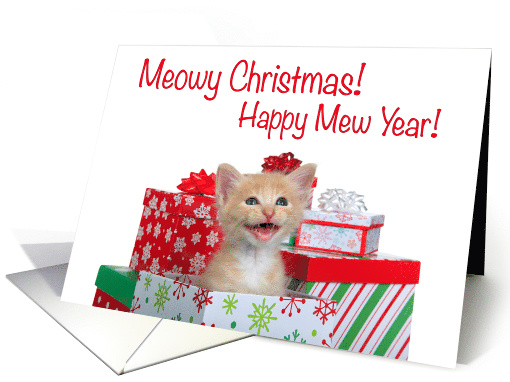 Singing Christmas surprise kitten card (1581664)