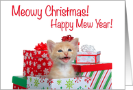Singing Christmas surprise kitten card