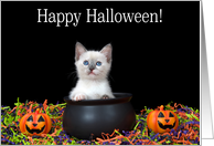 Siamese kitten in a witches’ cauldron Happy Halloween card