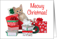 Kitten kicking back in Santa’s sleigh full of presents Merry Christmas card