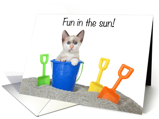 Playful Kitten on the Beach Happy Summer Vacation card (1583402)