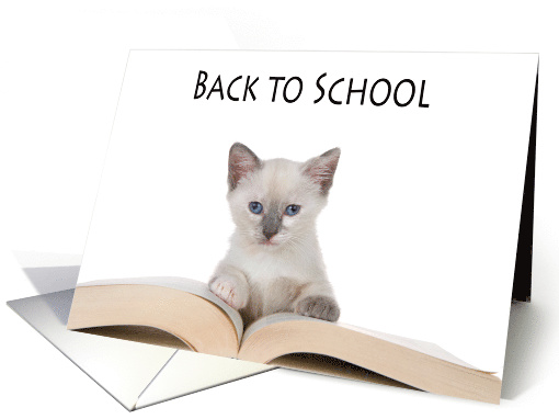 Siamese kitten reading a book back to school card (1583408)