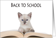 Siamese kitten reading a book back to school card