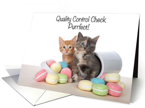 Two mischievous kittens in a cookie jar Happy Mother's Day card