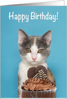 Kitten with Chocolate Cup Cake Happy Birthday card