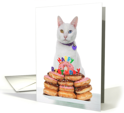 White Kitten with a Donut Cake, Happy Birthday card (1584632)