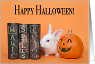 White Tiny Bunny Happy Halloween card