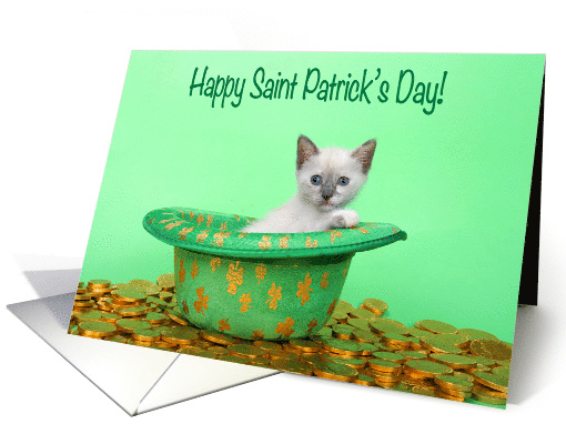 Leprechaun hat with gold and siamese kitten Happy Saint... (1584640)