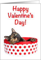 Cat Valentine’s Day love card
