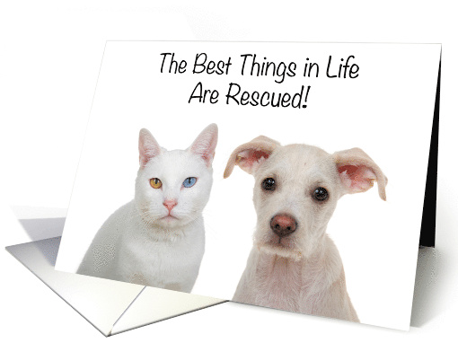 Congratulations on Your Pet Rescue Adoption, cat or dog card (1610292)