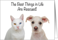 Congratulations on Your Pet Rescue Adoption, cat or dog card