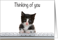 Computer Kitten Thinking of You card