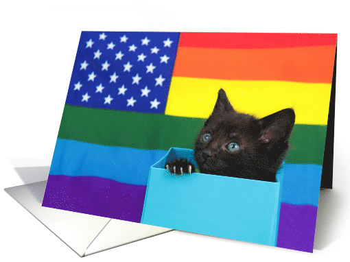 Tiny Kitten Happy Gay Pride Month card (1618166)